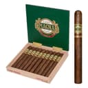 Casa Magna Liga F Churchill