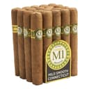 Cusano M1 Robusto