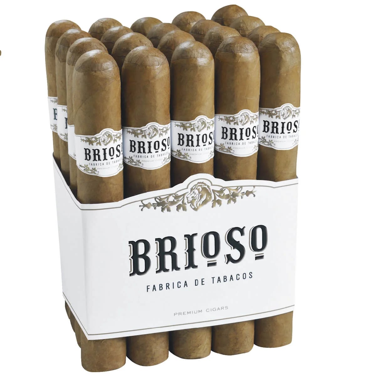 Brioso - Tray - BOX OF 80