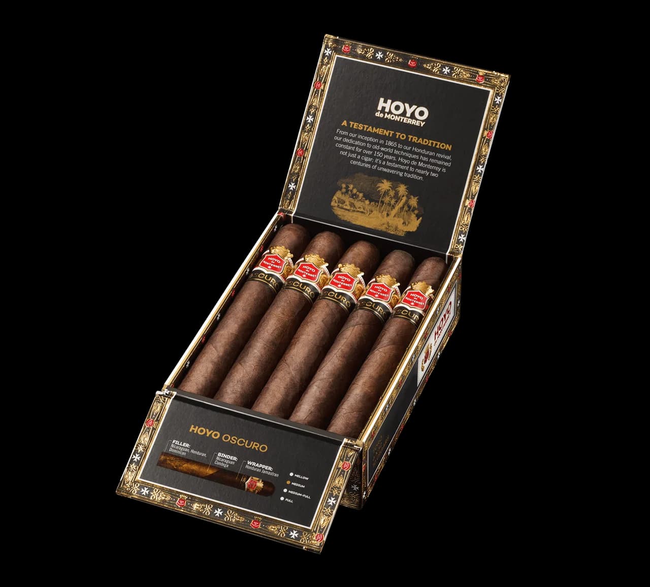 Hoyo Oscuro Toro 10