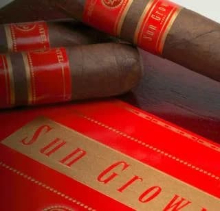Rocky Patel Sungrown Sixty 20