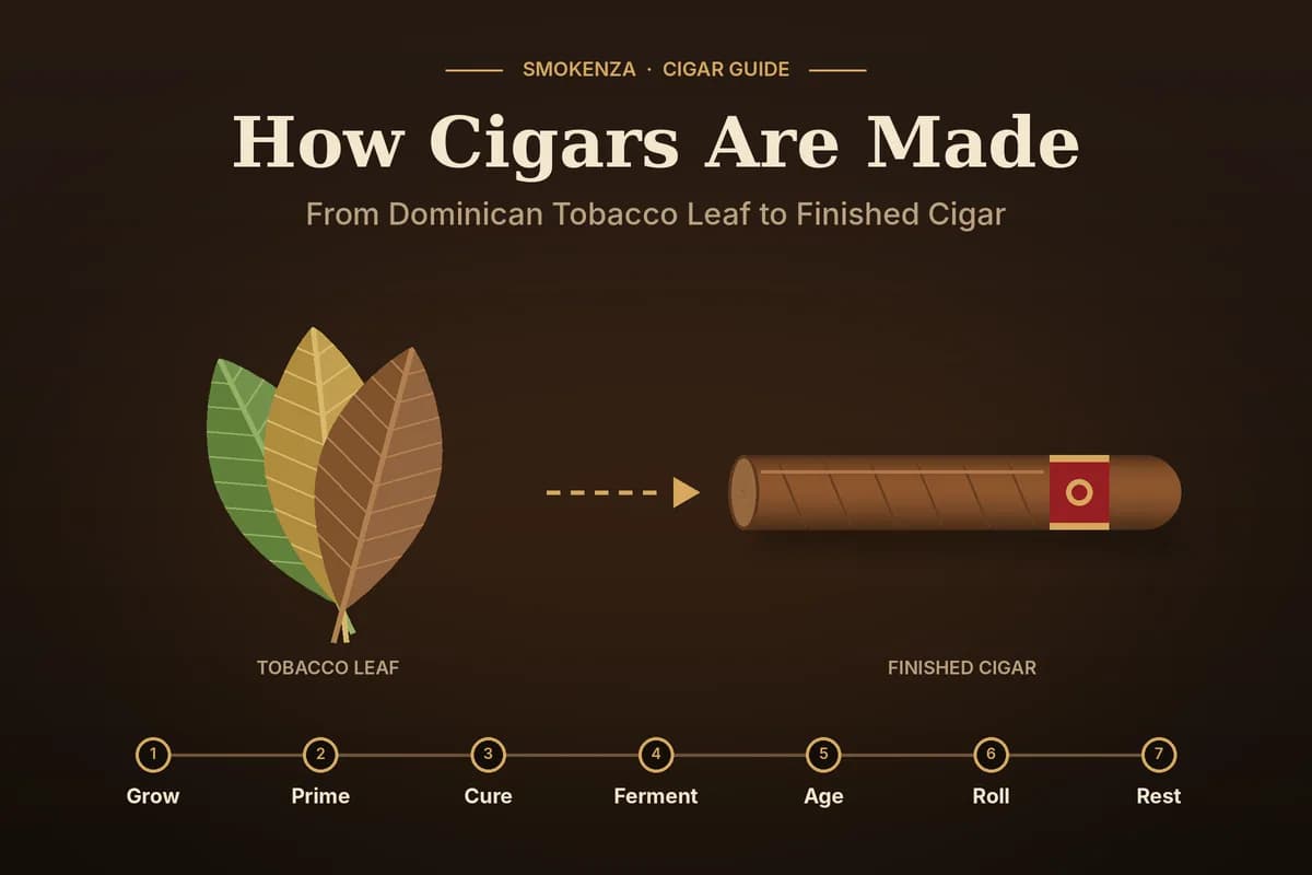 How Cigars Are Made: From Dominican Tobacco Leaf to Finished Cigar