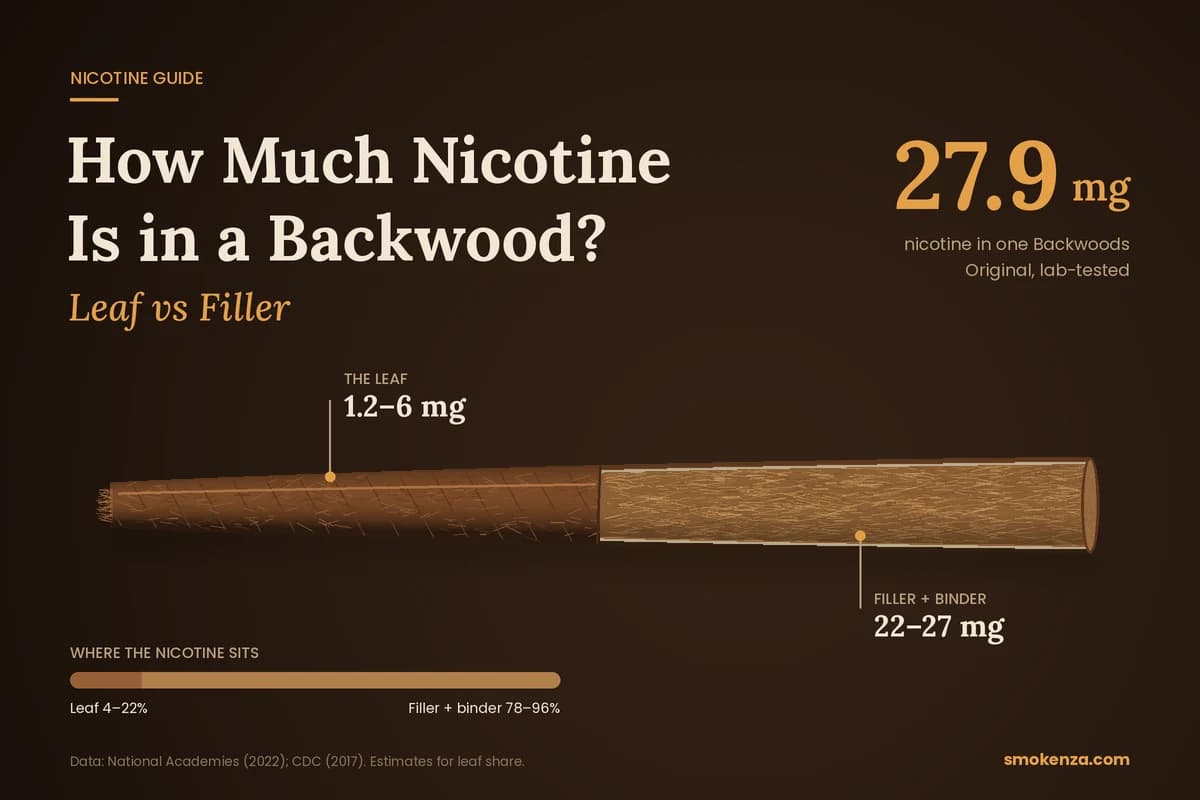 How Much Nicotine Is in a Backwood? Leaf vs Filler