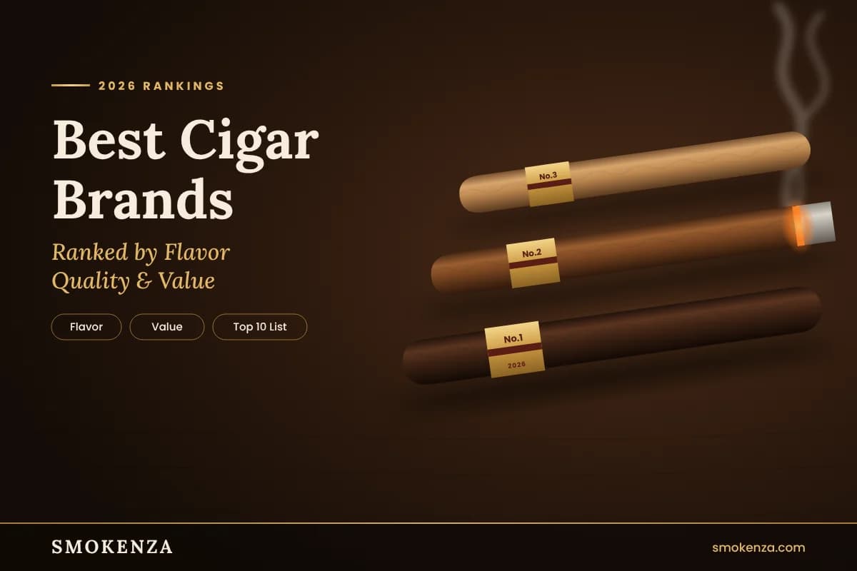 Best Cigar Brands Ranked by Flavor Quality and Value for 2026